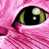 The Pink Kitty